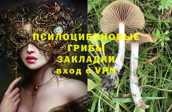 дживик Алексин