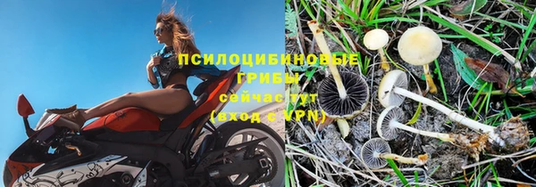 дживик Алексин